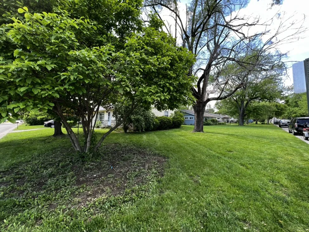 Professional yard maintenance experts serving Shadeland, IN - Crestview Landscaping