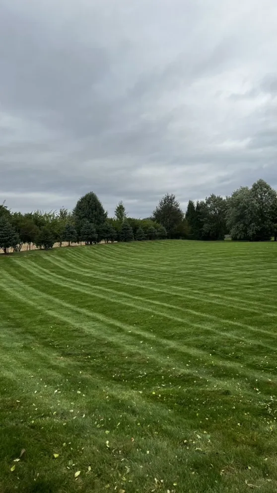 Custom residential landscaping for residential properties across Shadeland, IN - Crestview Landscaping