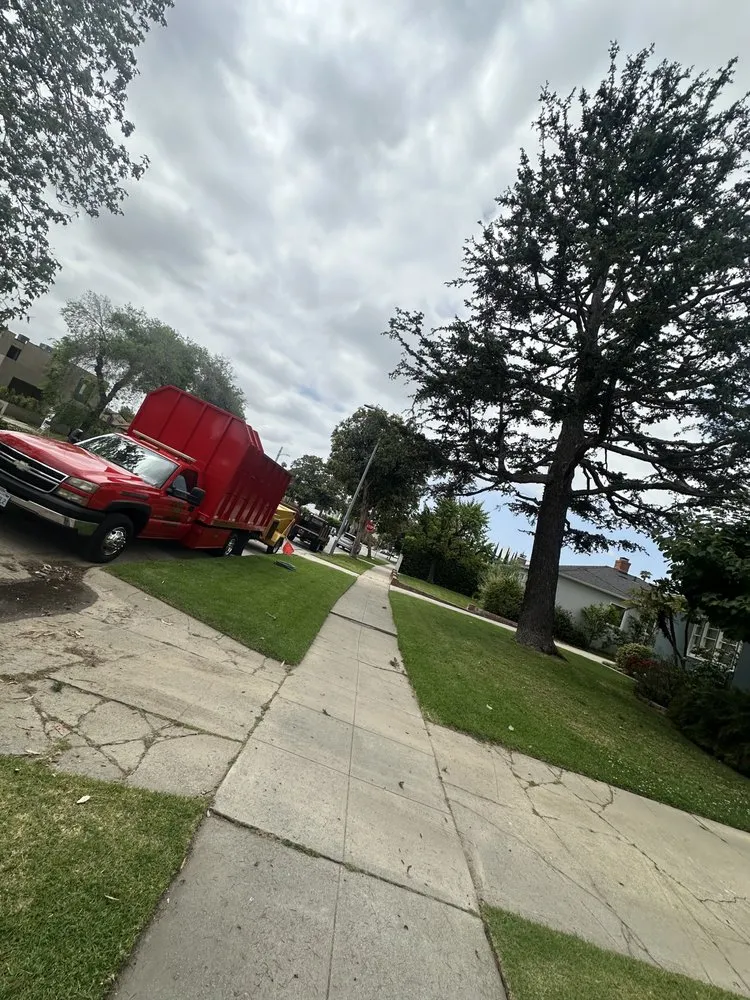 Local outdoor landscaping for beautiful yards in Inglewood, CA by Crestwood Tree Care