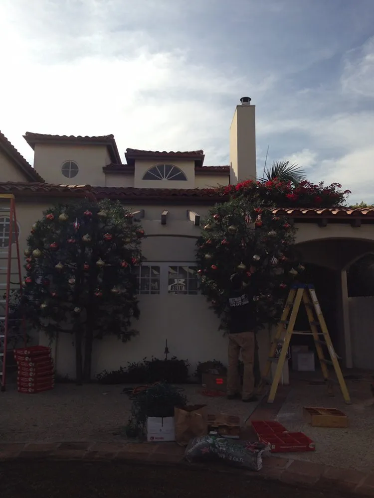 Affordable lawn care service in Inglewood, CA by Crestwood Tree Care