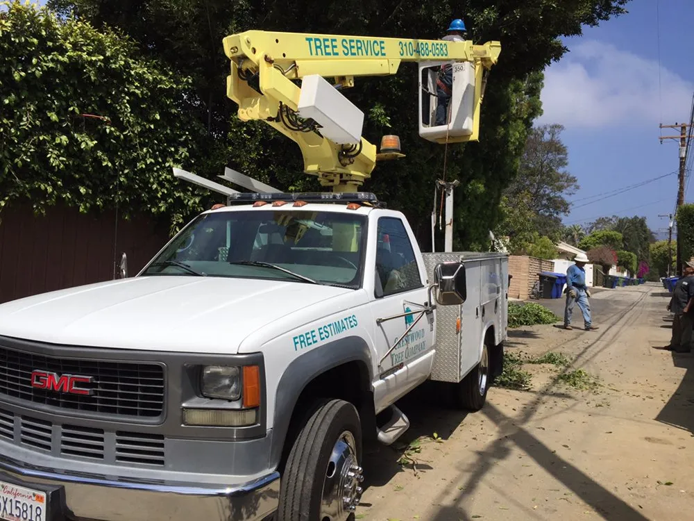 Reliable outdoor landscaping near you across Inglewood, CA - Crestwood Tree Care