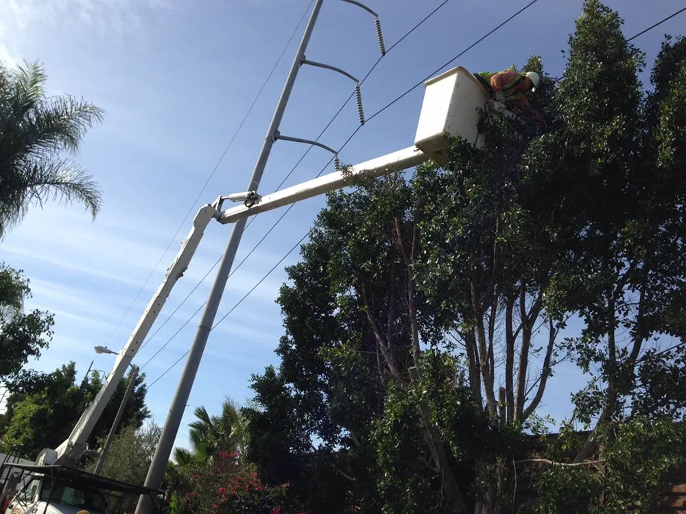 Top-rated garden landscaping for year-round maintenance across Inglewood, CA - Crestwood Tree Care