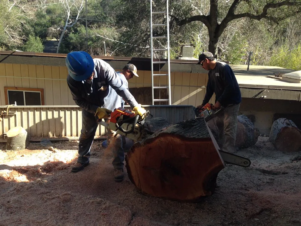 Top-rated residential landscaping in Inglewood, CA by Crestwood Tree Care