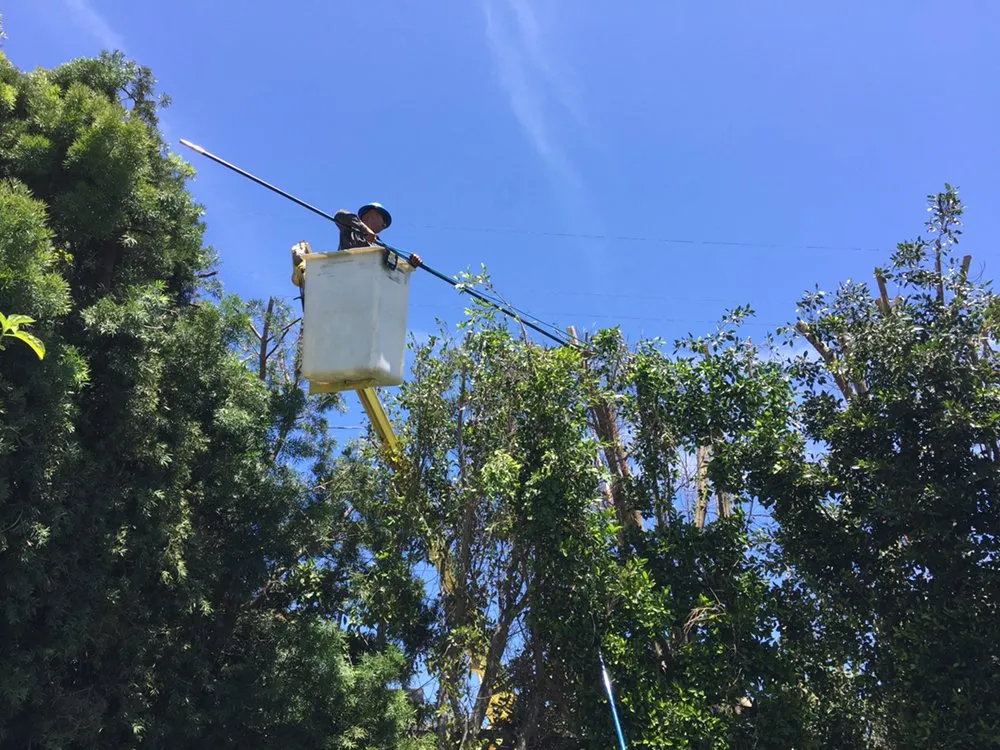 Trusted garden landscaping experts serving Inglewood, CA - Crestwood Tree Care