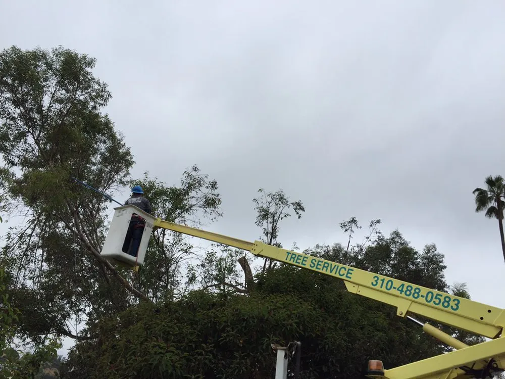 Affordable residential landscaping for residential properties in Inglewood, CA by Crestwood Tree Care