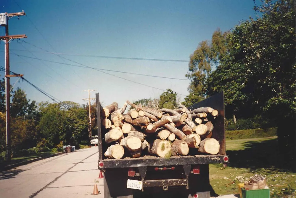 Affordable outdoor landscaping experts serving Inglewood, CA - Crestwood Tree Care