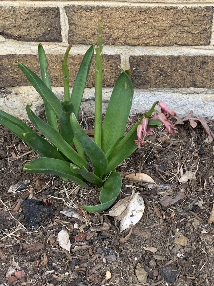 Expert landscaping services experts serving Edgewater, MD - Crew Cut Enterprises