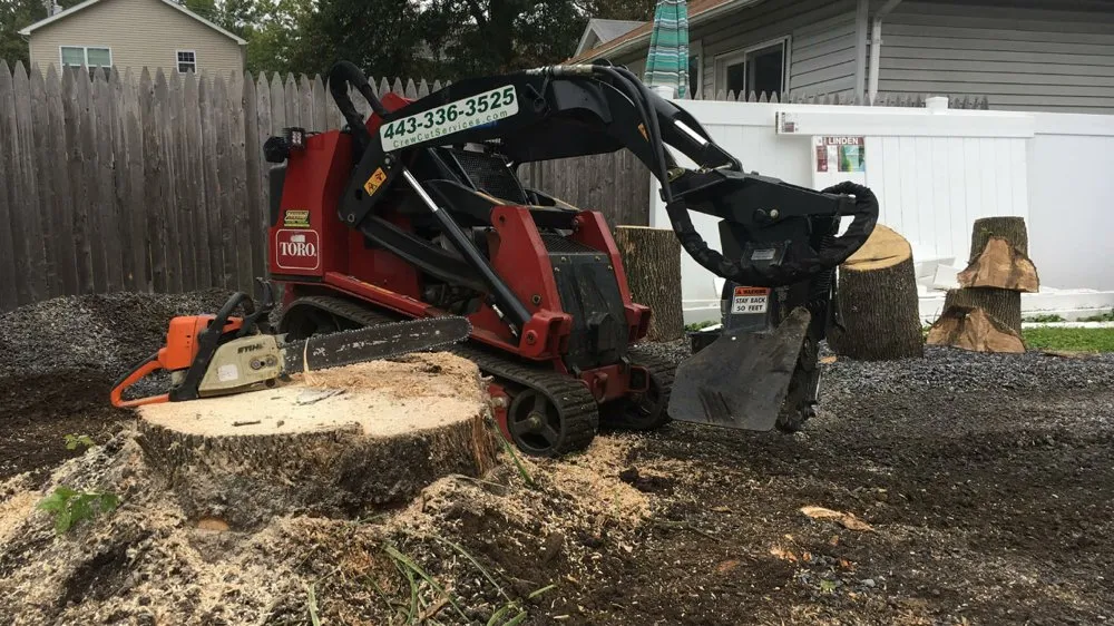 Professional landscape design for homes across Edgewater, MD - Crew Cut Enterprises