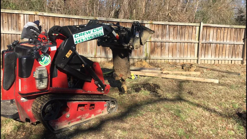 Reliable lawn care service in Edgewater, MD - Crew Cut Enterprises