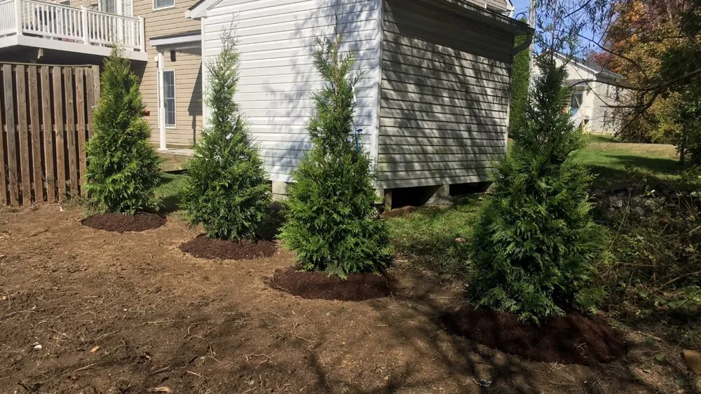 Expert outdoor landscaping experts serving Edgewater, MD - Crew Cut Enterprises