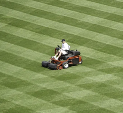 Local outdoor landscaping near you across Clermont, FL - Crew Cut Lawn & Backflow Testing