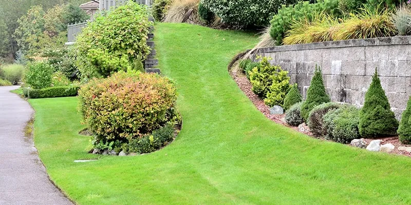 Professional outdoor landscaping in Clermont, FL by Crew Cut Lawn & Backflow Testing