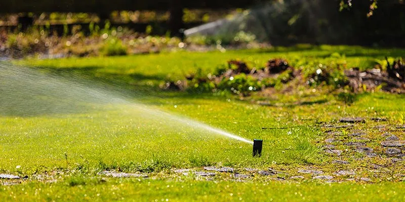 Top-rated landscape design for year-round maintenance in Clermont, FL by Crew Cut Lawn & Backflow Testing