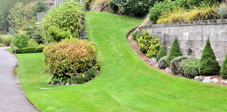 Top-rated residential landscaping in Clermont, FL - Crew Cut Lawn & Backflow Testing