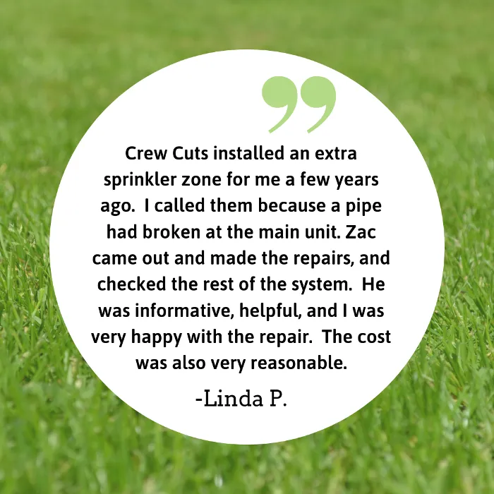 Trusted yard cleanup service in Gainesville, GA - Crew Cuts