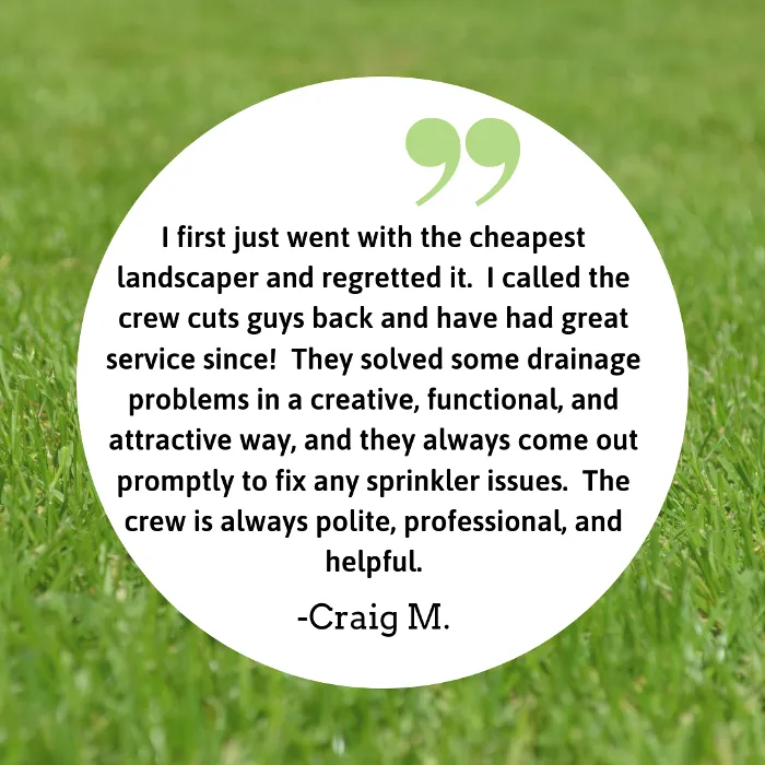 Affordable yard maintenance in Gainesville, GA - Crew Cuts