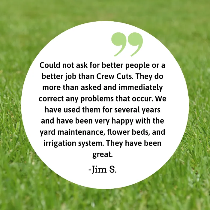 Professional outdoor landscaping in Gainesville, GA - Crew Cuts