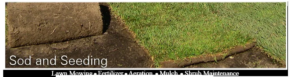 Professional lawn care service experts serving Lafayette, IN - Crew Cuts Lawn Care