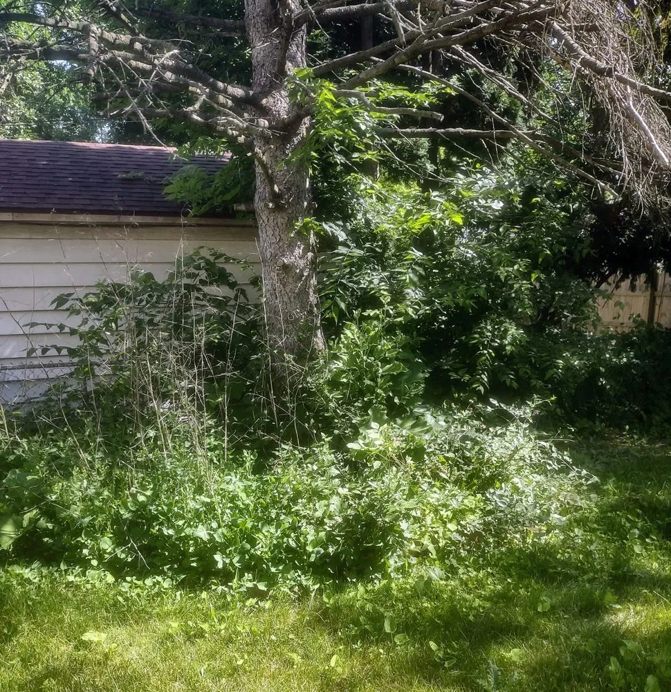 Expert outdoor landscaping near you in West Milwaukee, WI by Crew Cutters