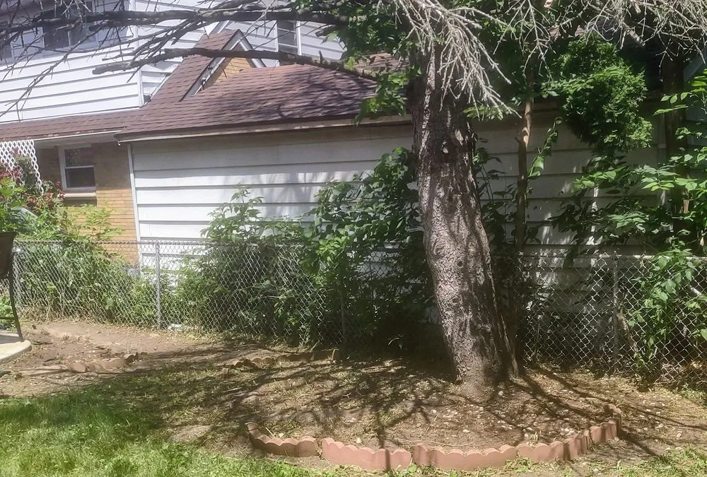 Affordable residential landscaping for outdoor upgrades across West Milwaukee, WI - Crew Cutters