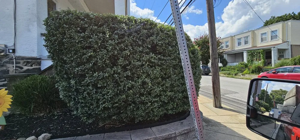 Top-rated residential landscaping in Narberth, PA by Crew Lawn Care