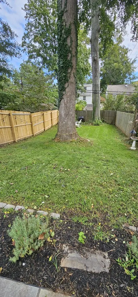 Top-rated yard maintenance for year-round maintenance across Narberth, PA - Crew Lawn Care