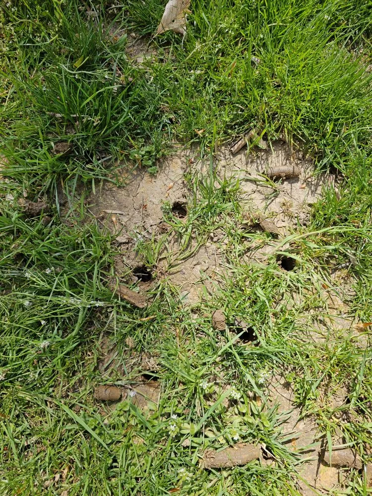 Affordable landscape installation experts serving Narberth, PA - Crew Lawn Care