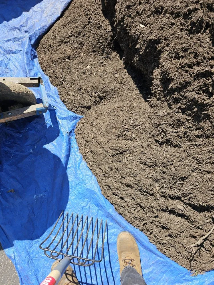 Professional lawn care service in Narberth, PA by Crew Lawn Care