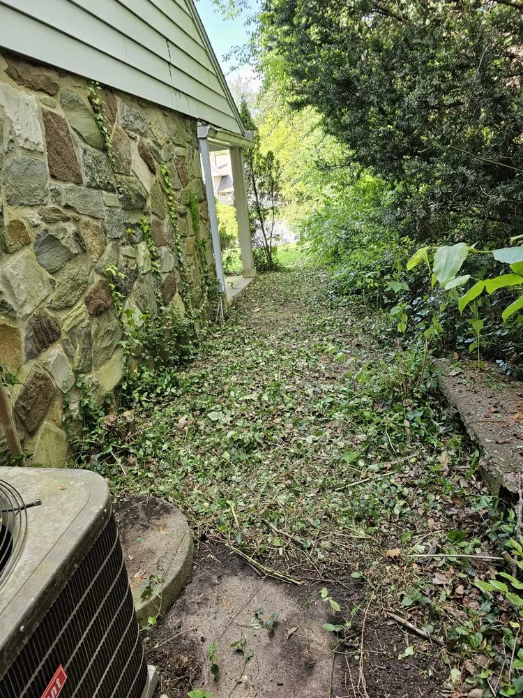 Custom yard maintenance for homes in Narberth, PA by Crew Lawn Care