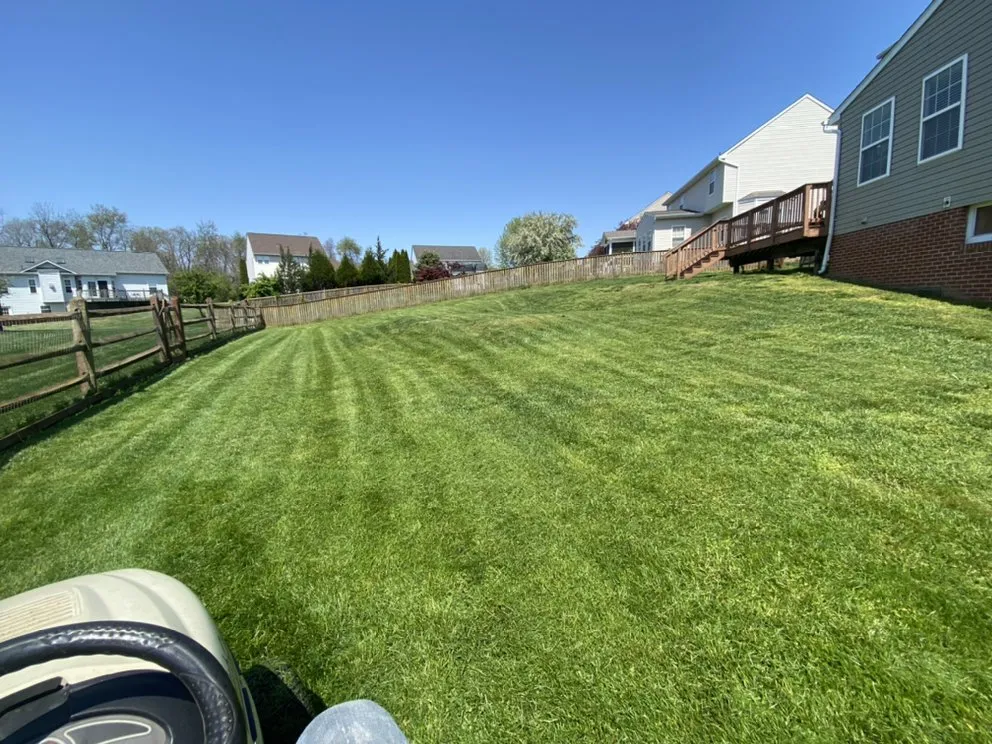 Custom yard cleanup service in Charles Town, WV by Crewcut Acres