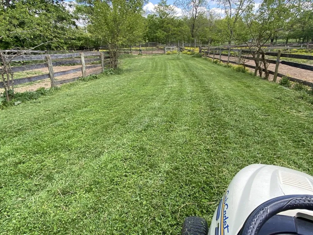Reliable yard cleanup service experts serving Charles Town, WV - Crewcut Acres