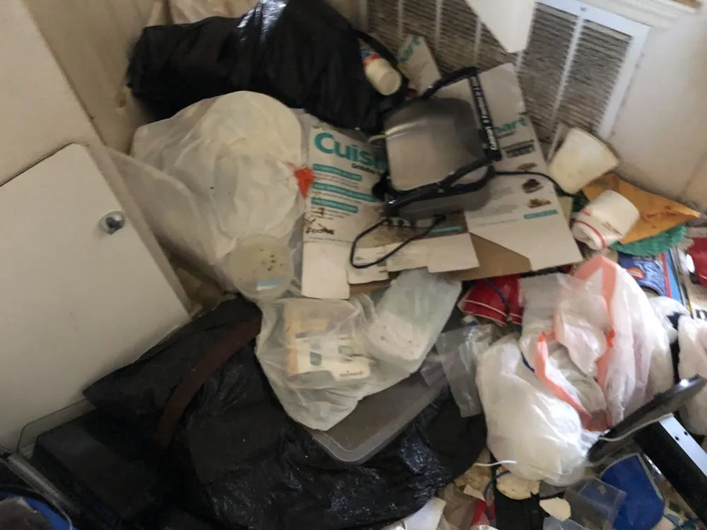 Professional outdoor landscaping in Kyle, TX - Crewcut