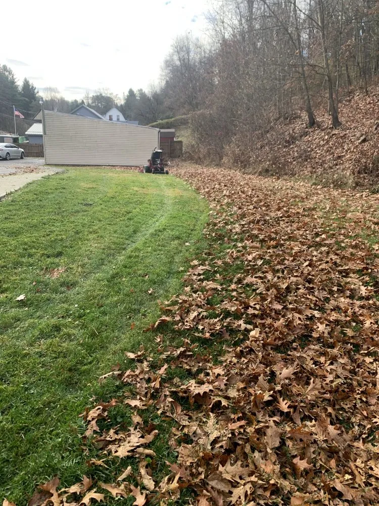Affordable yard cleanup service in Sturgeon, PA by Crewl's Landscaping