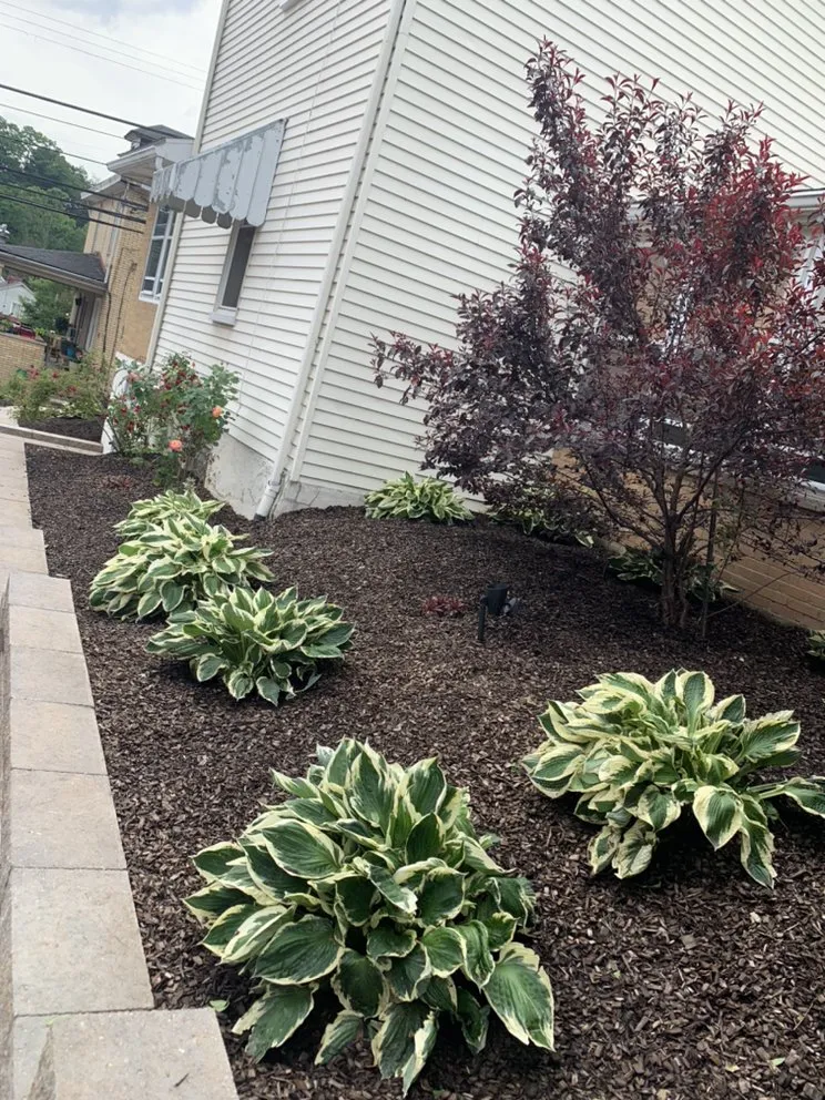 Professional yard maintenance near you in Sturgeon, PA by Crewl's Landscaping