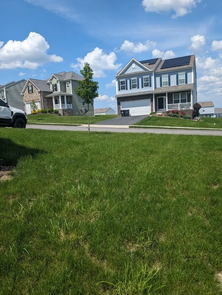 Trusted yard cleanup service for beautiful yards across Sturgeon, PA - Crewl's Landscaping
