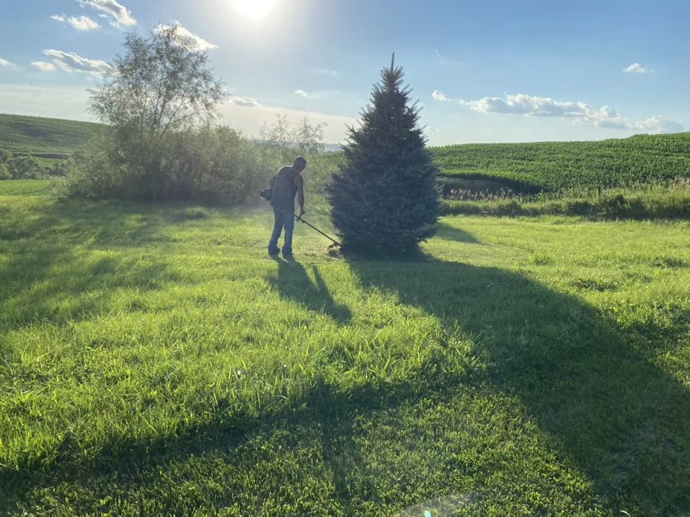 Professional yard cleanup service for beautiful yards across Vail, IA - Crews Lawn Care & Landscaping