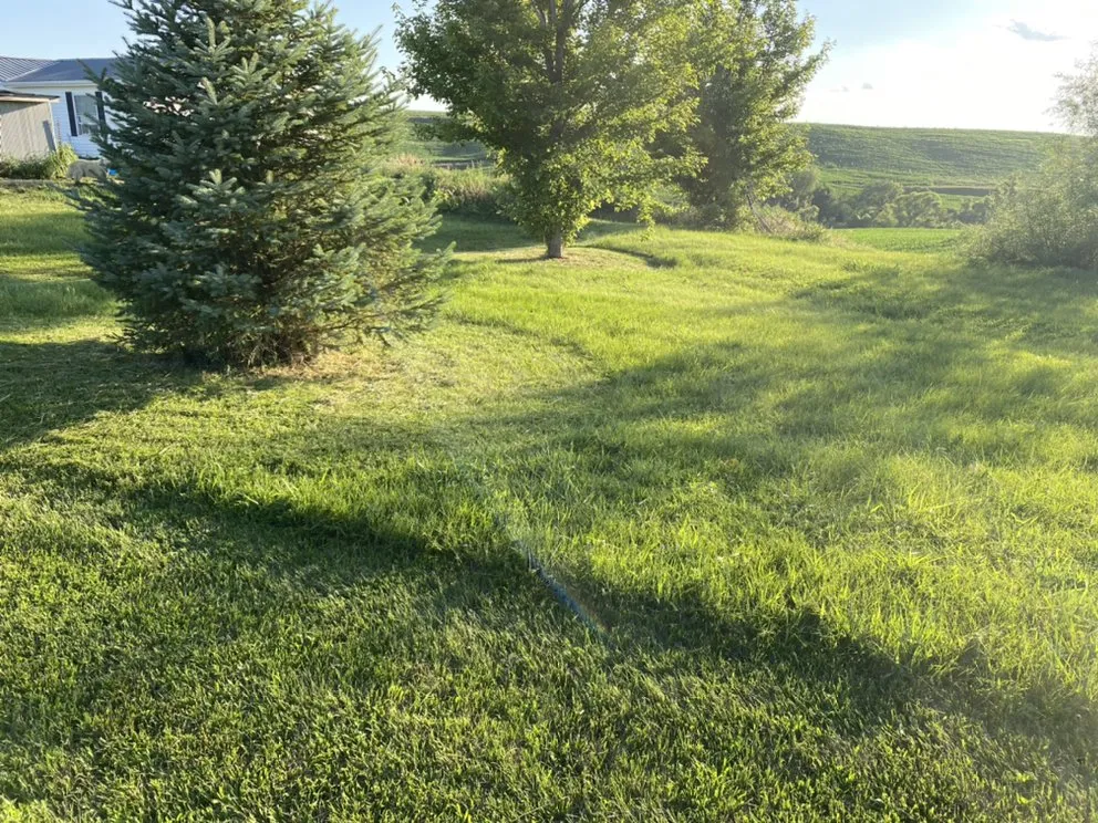 Custom lawn care service for homes in Vail, IA by Crews Lawn Care & Landscaping