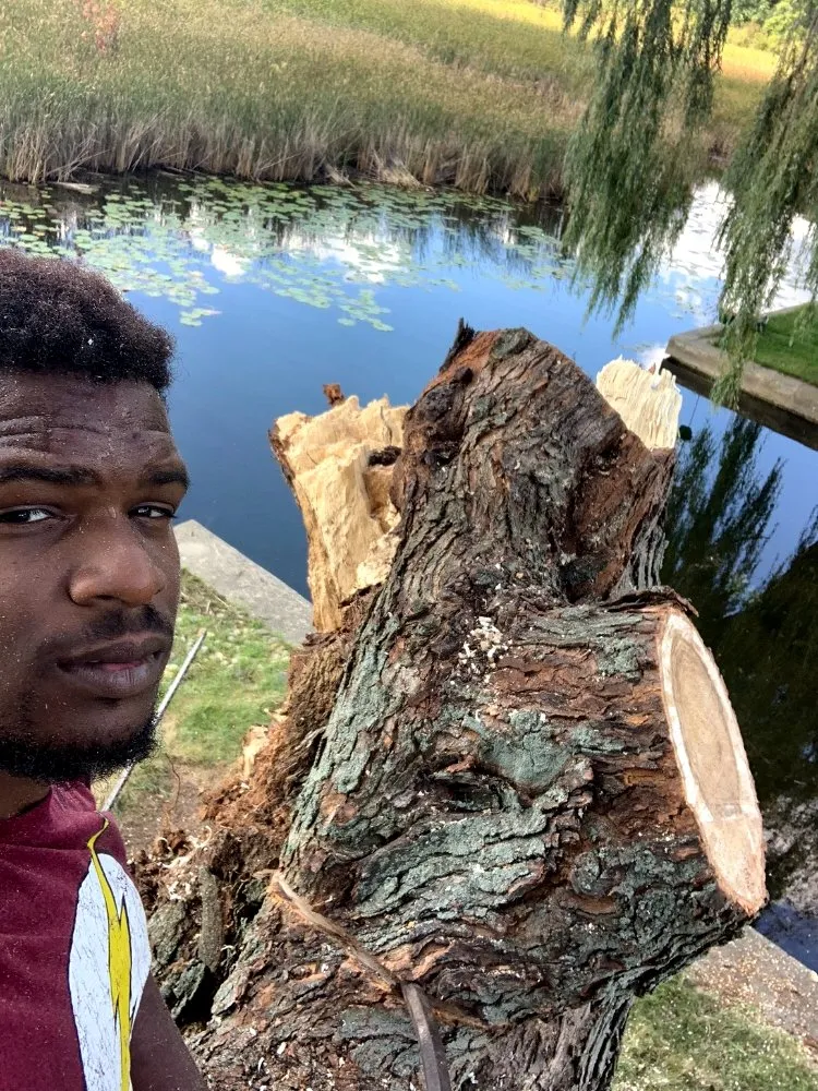 Affordable lawn care service in Sturgis, MI by Crews Lawn Care and Handyman Services