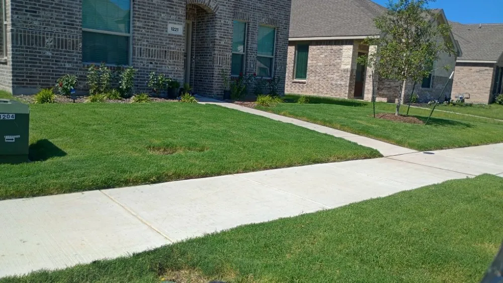 Trusted landscape design in Blum, TX - Crews Lawn Care