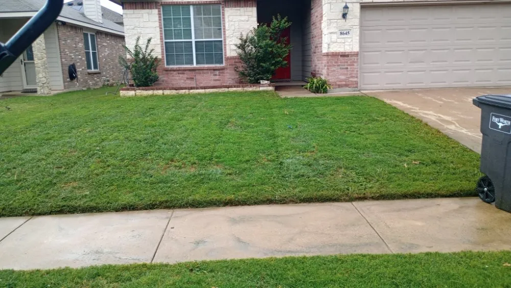 Top-rated landscape installation experts serving Blum, TX - Crews Lawn Care