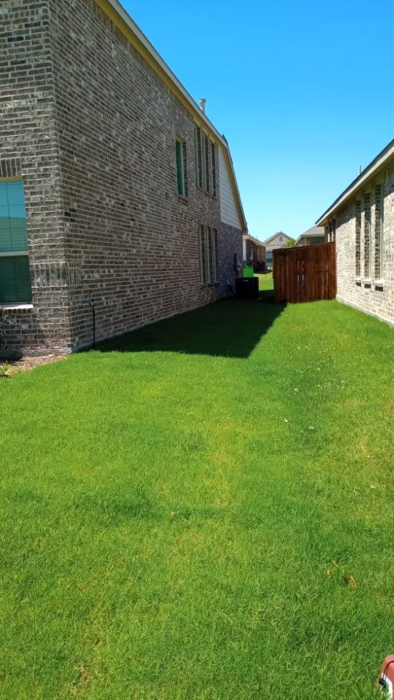 Custom outdoor landscaping near you across Blum, TX - Crews Lawn Care