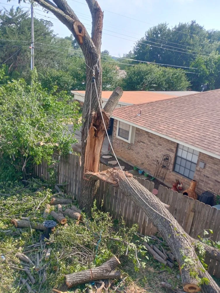 Professional yard maintenance in Blum, TX - Crews Lawn Care