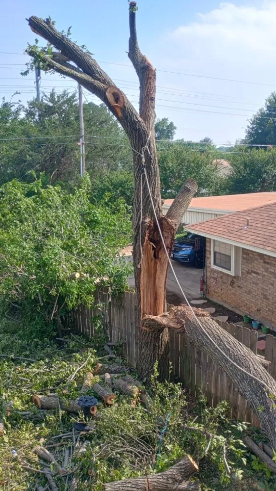 Trusted yard cleanup service for homes in Blum, TX by Crews Lawn Care