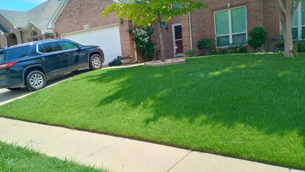 Custom outdoor landscaping in Blum, TX - Crews Lawn Care