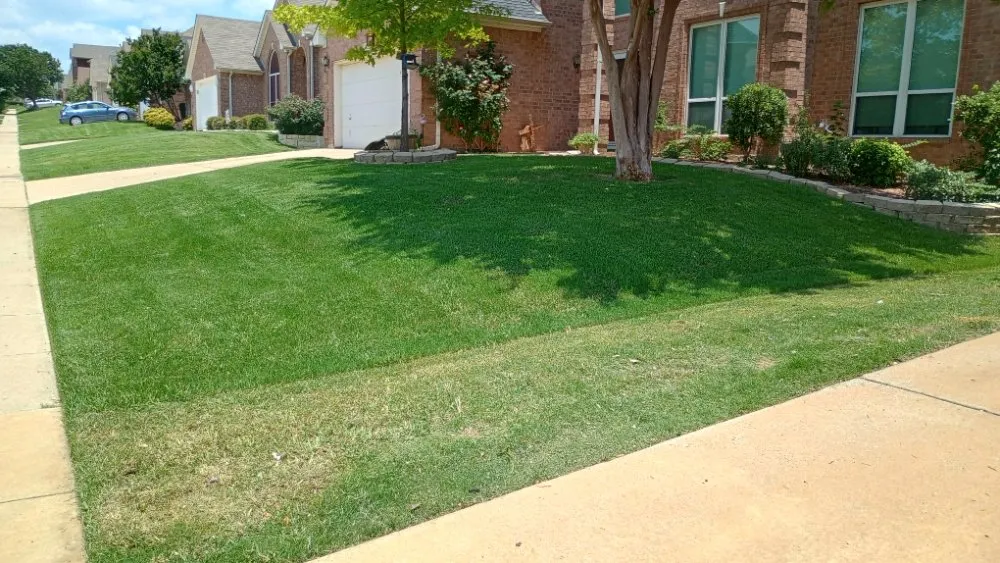 Professional landscape installation for beautiful yards in Blum, TX by Crews Lawn Care