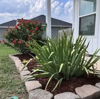 Custom yard maintenance for year-round maintenance across Rose, OK - Crews On Lawn