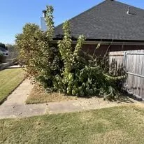 Trusted yard cleanup service for beautiful yards across Rose, OK - Crews On Lawn