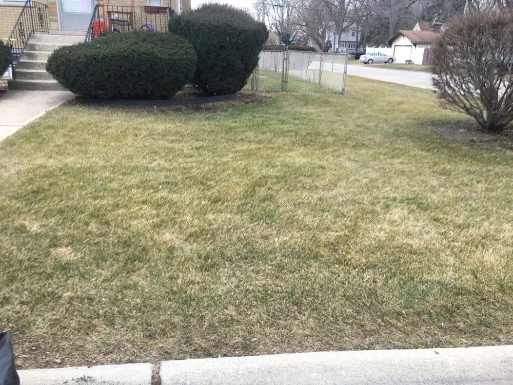 Affordable residential landscaping for outdoor upgrades across Glenwood, IL - CRG Landscaping