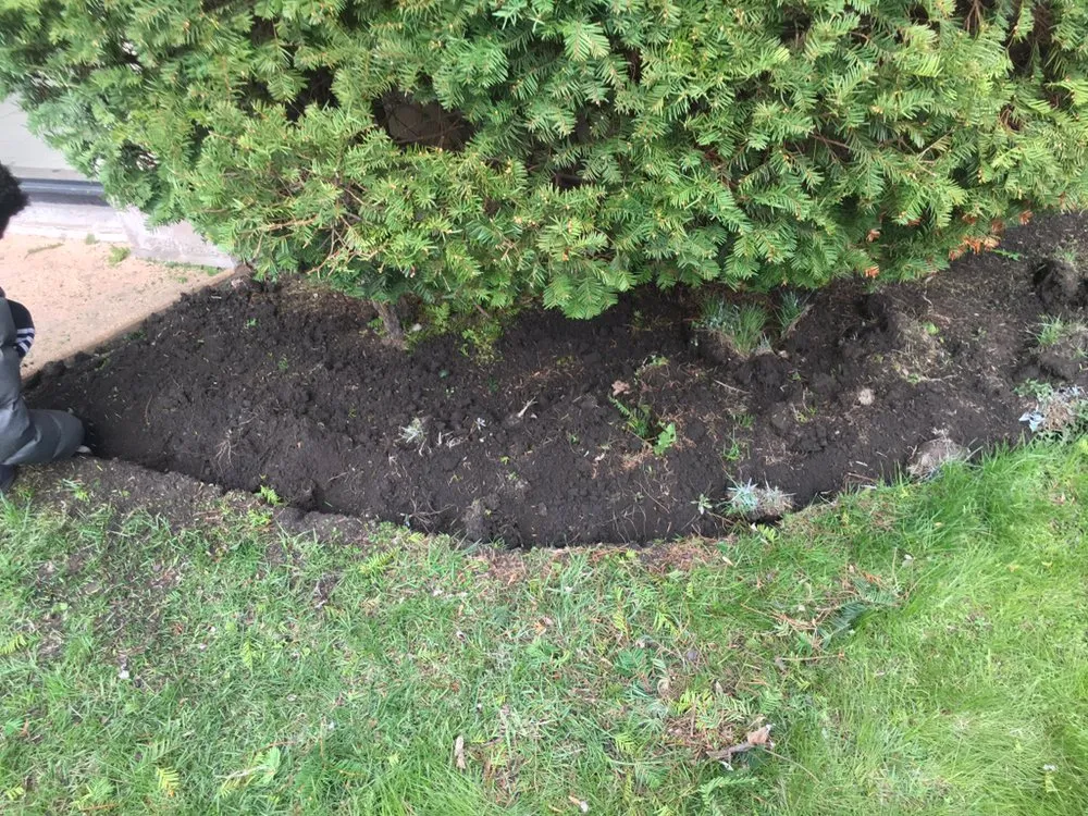 Local garden landscaping experts serving Glenwood, IL - CRG Landscaping