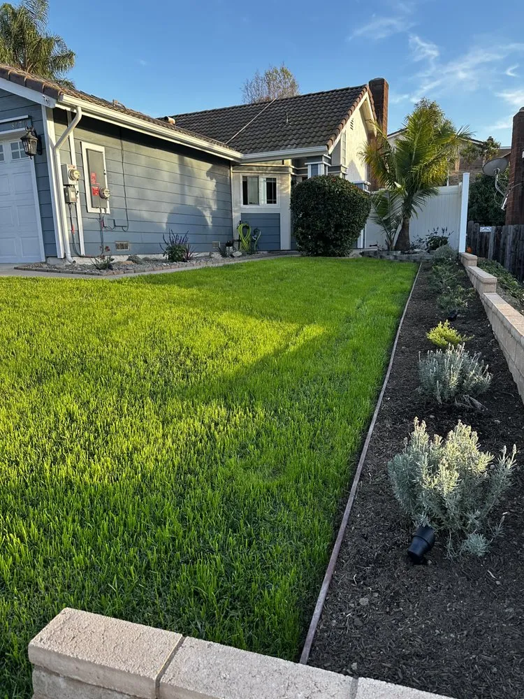 Affordable landscape installation for beautiful yards across Fullerton, CA - CRI Landscapes